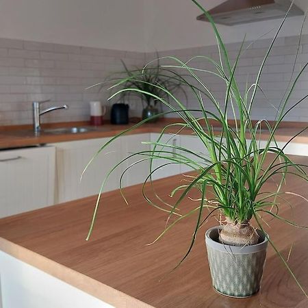 Ferienwohnung Stern Unterthingau エクステリア 写真