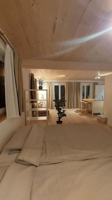 Ferienwohnung Stern Unterthingau エクステリア 写真