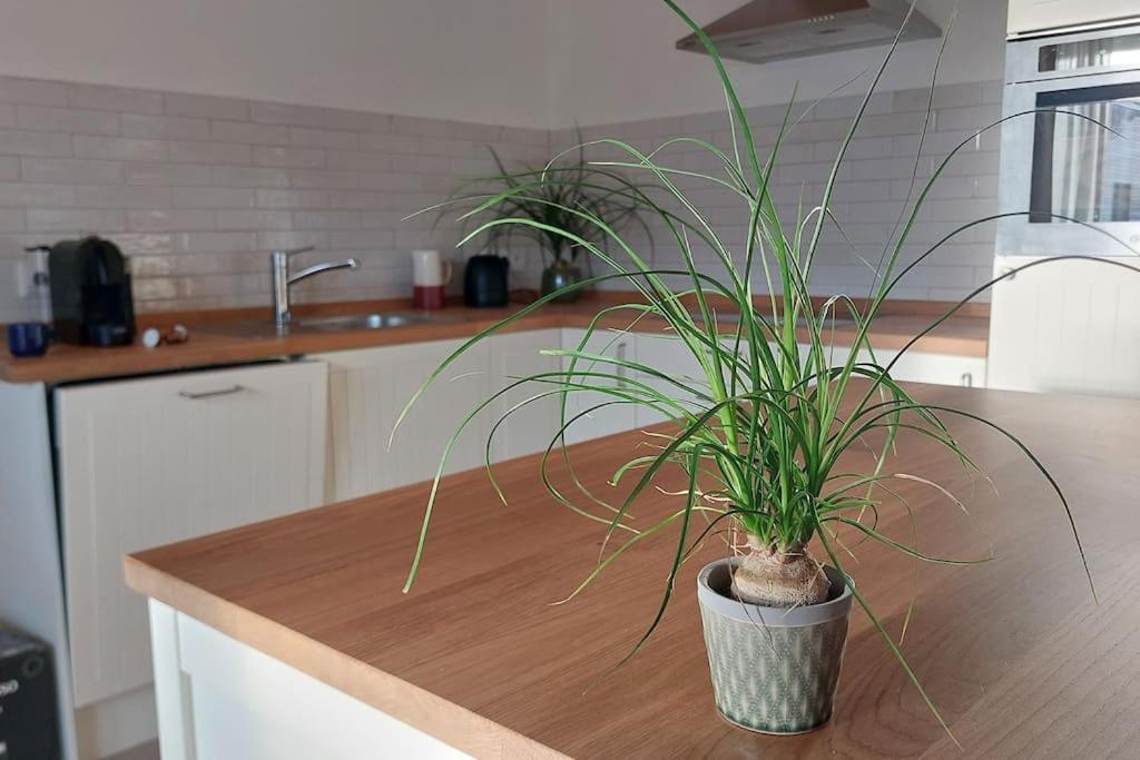 Ferienwohnung Stern Unterthingau エクステリア 写真